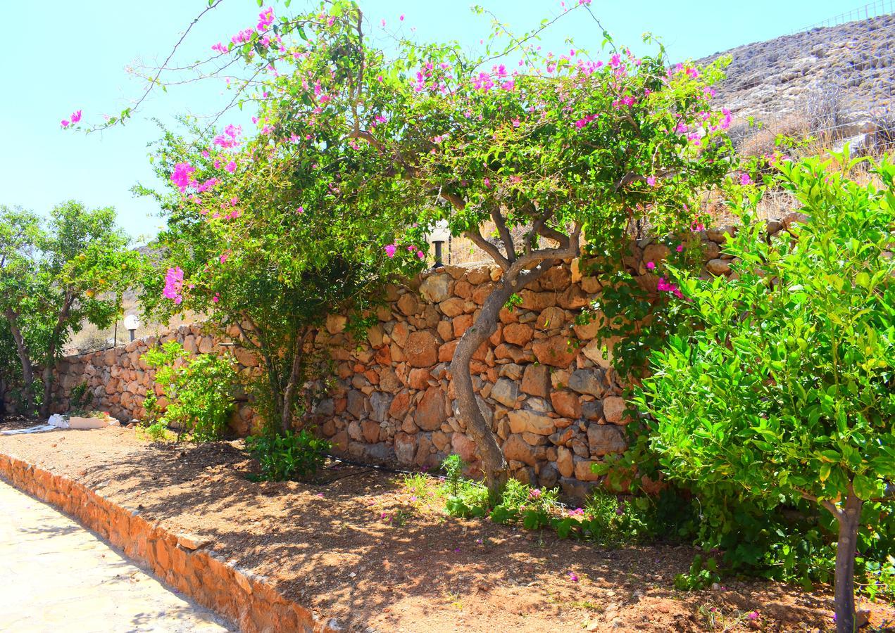 Asteras Apartments Xerokampos  Dış mekan fotoğraf