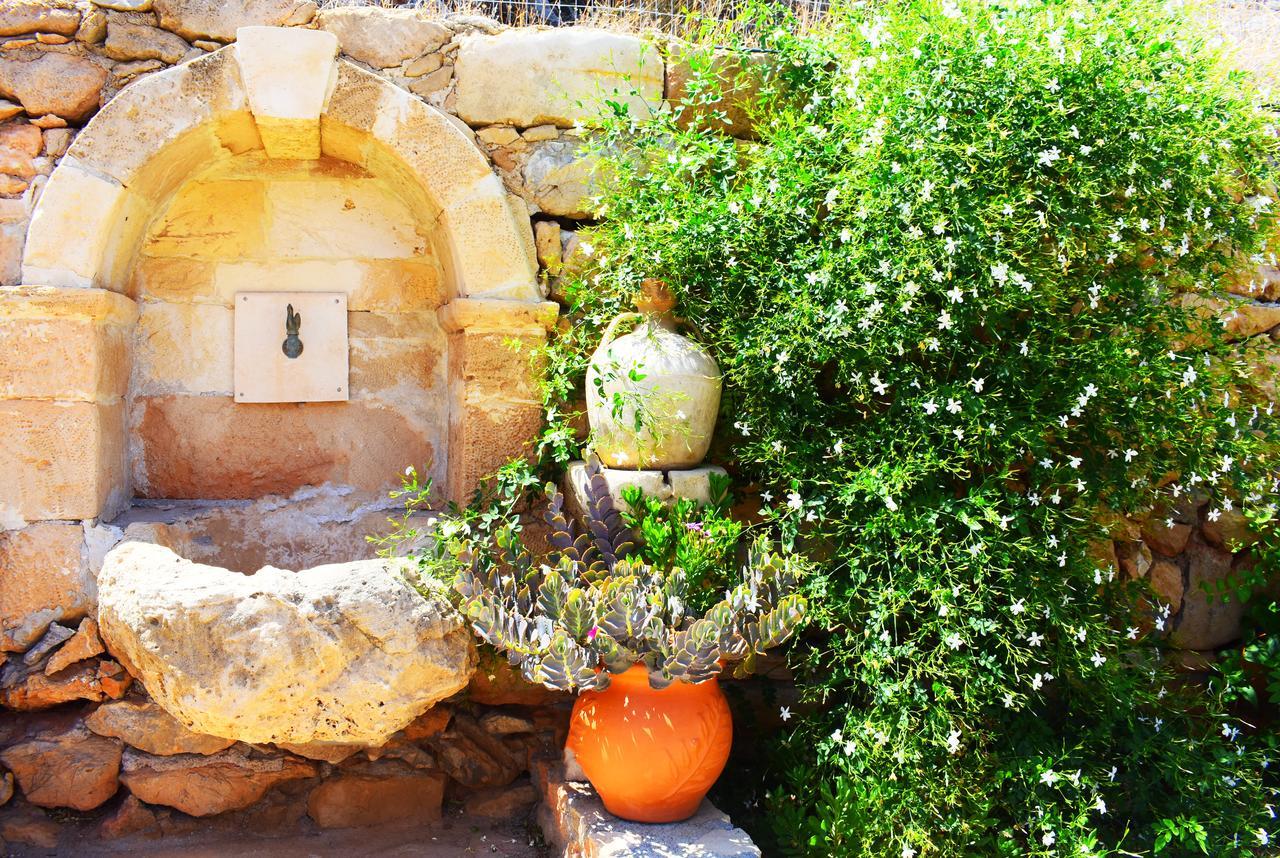 Asteras Apartments Xerokampos  Dış mekan fotoğraf
